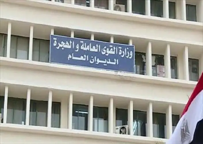 القوى العاملة: حصر 42% من المنشآت لدمج ذوي الهمم في سوق العمل