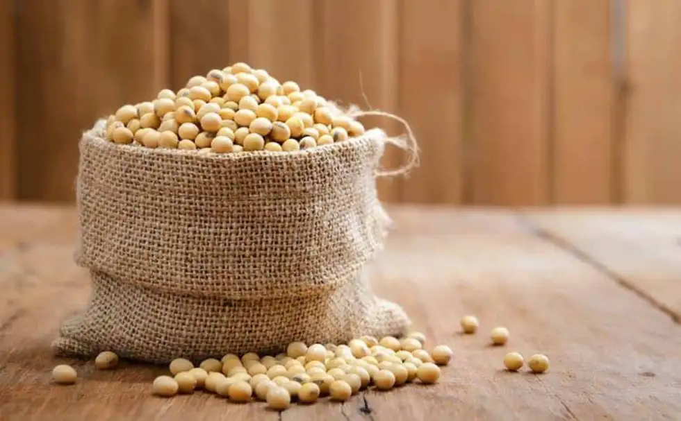 رئيس الوزراء: سعر ضمان طن فول الصويا 18 ألف جنيه