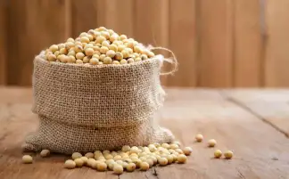 رئيس الوزراء: سعر ضمان طن فول الصويا 18 ألف جنيه