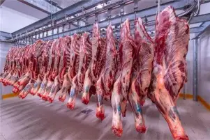 3 مارس 2023.. كيلو الكندوز يصل لـ280 جنيها.. أسعار اللحوم البلدي والمجمدة بالأسواق