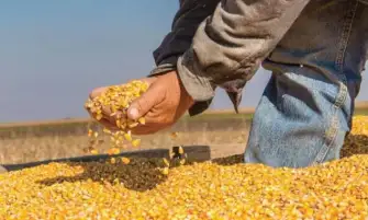 الزراعة: الإفراج عن 2.8 مليون طن أعلاف بتكلفة تقترب من 1.5 مليار دولار