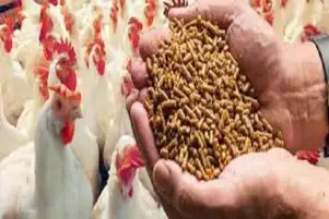 وزير الزراعة: الإفراج عن 166 ألف طن أعلاف بحوالي 81 مليون دولار خلال أسبوع