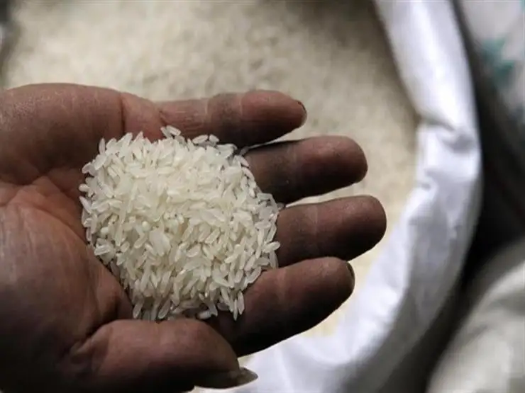 رئيس شعبة الأرز: استيراد شحنات كبيرة الأسبوع المقبل.. والسعر الرسمي 14 جنيها