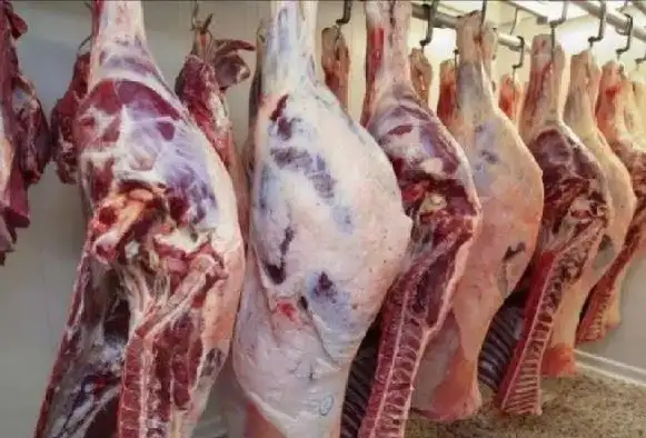 بطعم البلدي والمذاق المصري.. حزب حماة الوطن: طرح لحوم الأبقار التشادية بسعر 145 جنيها للكيلو