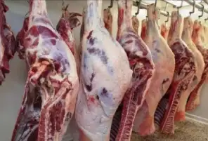بطعم البلدي والمذاق المصري.. حزب حماة الوطن: طرح لحوم الأبقار التشادية بسعر 145 جنيها للكيلو