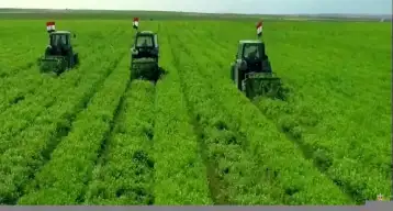 الزراعة: مشروع مستقبل مصر عبقري بالمكونات التي يضمها واستثمارات الدولة
