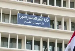 القوى العاملة: توفير 295 فرصة عمل في 7 محافظات