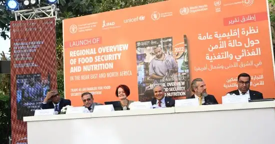 تقرير أممي: تكلفة النمط الغذائي الصحي في المنطقة العربية زادت إلى 3.47 دولار في اليوم