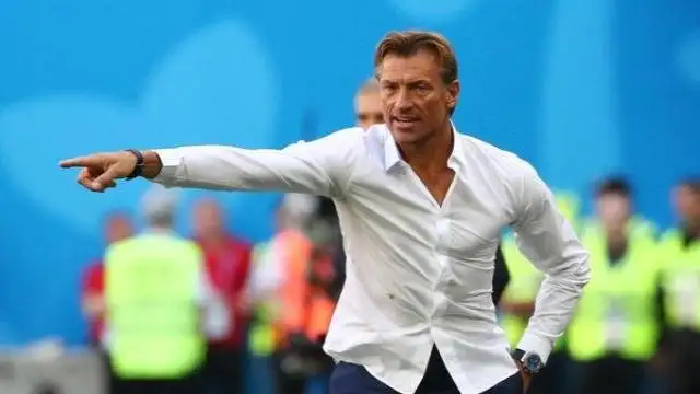 تقارير تكشف موعد الإعلان عن تعيين رينارد مدربا للمنتخب الفرنسي للسيدات