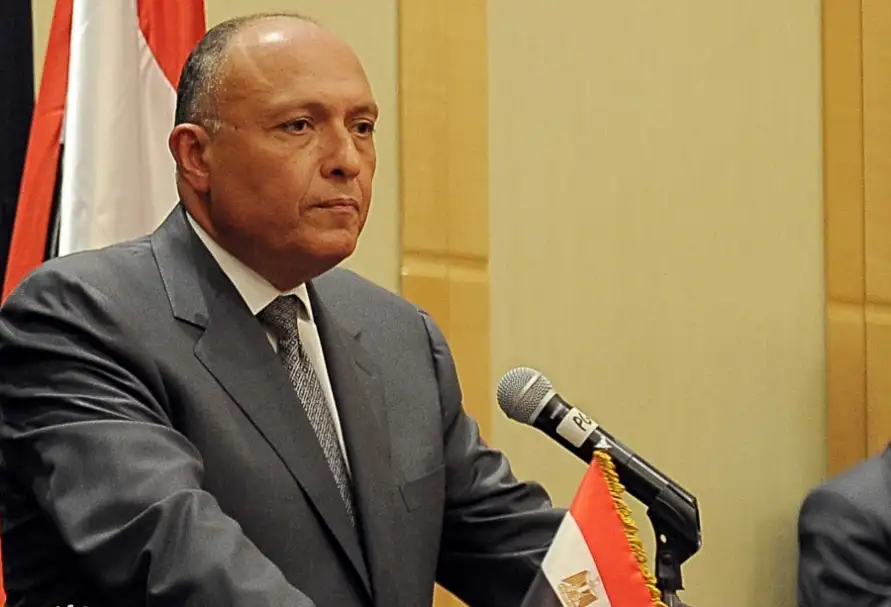 وزير الخارجية يستعرض تطورات سد النهضة أمام سفراء الاتحاد الأوروبي