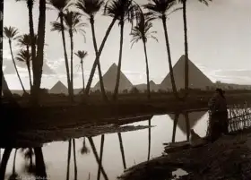 محمد مصطفى: الفوز ببطولة استونيا للمصارعة مجرد بداية لتحقيق حلم أولمبياد باريس