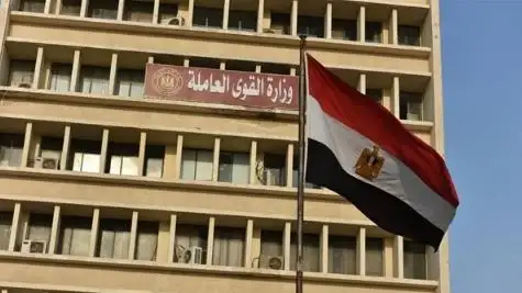 القوى العاملة في 7 أيام: فرص عمل.. وعودة مستحقات عمالة مصرية في الخارج