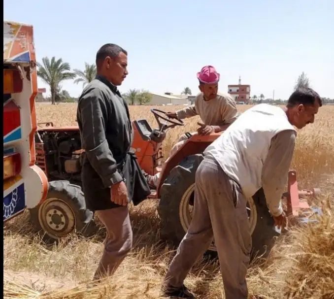 وزير الزراعة يتابع توريد القمح.. ويشيد بالفلاحين والعاملين في الإدارات المعنية