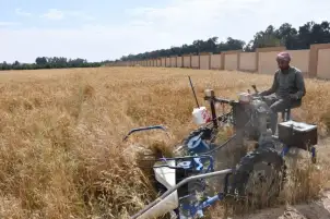 وزير الزراعة يوجه بمتابعة حصاد القمح وتفعيل الزراعة التعاقدية ومرونة توزيع الأسمدة