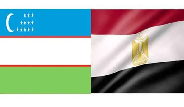 نائب وزير الاستثمار الأوزبكي يؤكد أهمية الاستفادة من تجربة مصر في قضايا التنمية