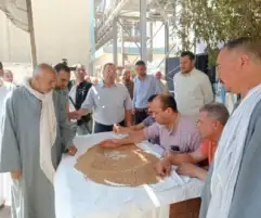التموين: توريد 285 ألف طن قمح محلي على مستوى الجمهورية