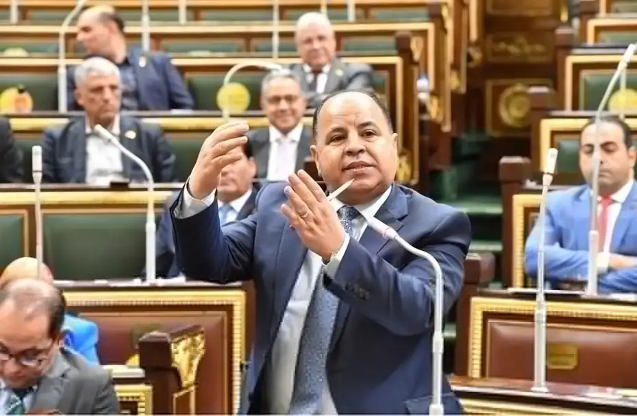 الثلاثاء.. وزير المالية يلقي البيان المالي أمام النواب