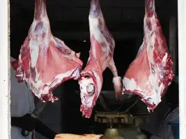 شعبة القصابين: أسعار اللحوم غير مُرضية للجزارين.. واقترحنا الغلق أسبوعين