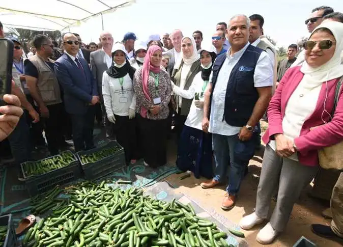 وزيرة التضامن تزور قرية الشيخ مسعود وتتفقد الحقول الإرشادية والصوب الزراعية بالمنيا