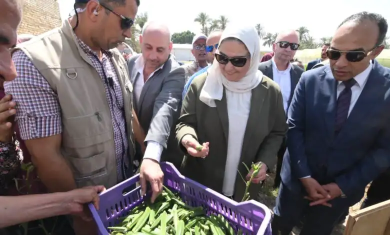 وزيرة التضامن الاجتماعي تتفقد الحقول الإرشادية والصوب الزراعية بالمنيا