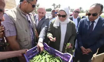 وزيرة التضامن الاجتماعي تتفقد الحقول الإرشادية والصوب الزراعية بالمنيا