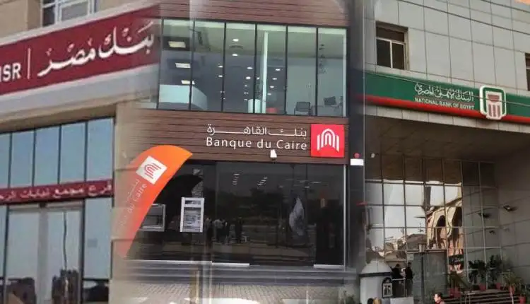 البنوك تضخ قروضا بقيمة 119 مليار جنيه للجهات غير الحكومية خلال شهر يناير 2023