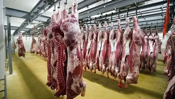 الزراعة: طرح لحوم مخفضة بنسبة 30% استعدادًا لعيد الأضحى