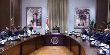 رئيس الوزراء يلتقي عددا من المصريين بالخارج بهدف تأسيس شركة للاستثمار