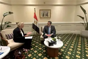 وزير الصحة يناقش مع ممثل صندوق الأمم المتحدة للسكان محاور المؤتمر الدولي للصحة والسكان والتنمية