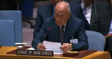 أبو الغيط أمام مجلس الأمن: حل الدولتين يُمثل السبيل الوحيد لتحقيق سلام مُستدام