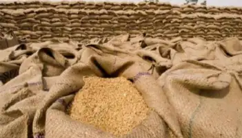 الحكومة تنفي تعثر مصر في سداد مدفوعات وارداتها من القمح المستورد