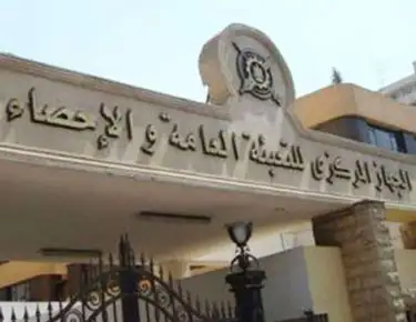 63 مليار دولار قيمة صافي الاستثمارات الأجنبية المباشرة خلال 10 سنوات