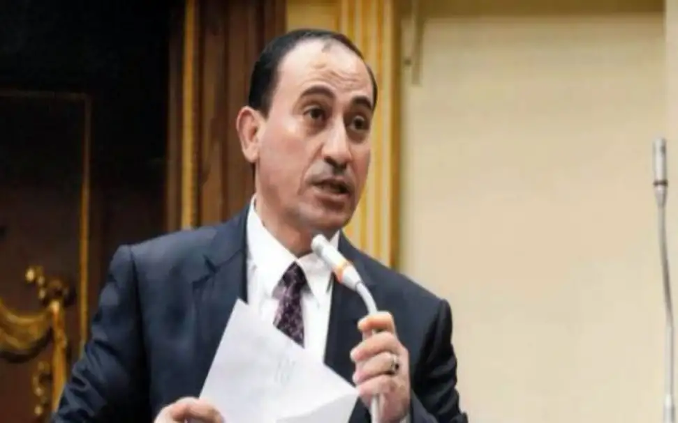 برلماني: إصدار قانون لتنظيم إقامة الأجانب خطوة هامة.. ومصر لم تتاجر بالقضية