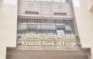 صندوق النقد : ربما من الضروري استمرار البنك المركزي المصري في رفع الفائدة لكن بحذر