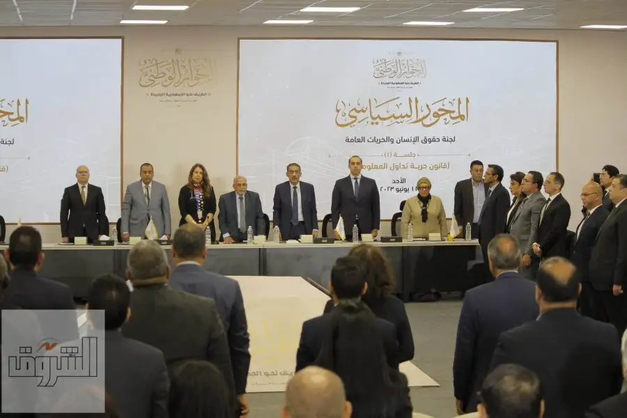 حزب مصر الحديثة يطالب بزيادة أعضاء مجلسي النواب والشيوخ.. والتفرغ للعضوية