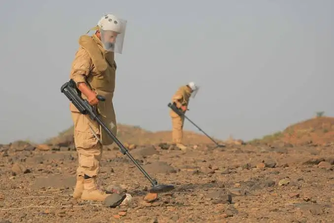 السعودية :مركز الملك سلمان للإغاثة ينزع خلال أسبوع 1.339 لغمًا عبر مشروع "مسام" في اليمن