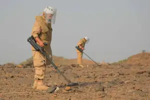 السعودية :مركز الملك سلمان للإغاثة ينزع خلال أسبوع 1.339 لغمًا عبر مشروع "مسام" في اليمن