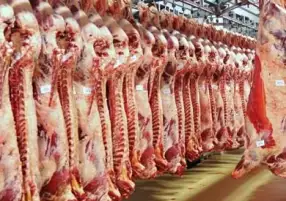 الزراعة: طرح لحوم الأضاحي بمنافذنا بأسعار تبدأ من 125 جنيها للكيلو