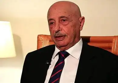 عقيلة صالح: مصر لا تتدخل في الشأن الليبي وتسعى دوما لوحدة البلاد