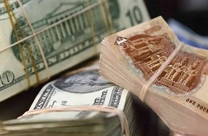 خبير مصرفي: تعويم الجنيه قرارًا حكيمًا لابد منه.. وتثيبت سعر الفائدة كان متوقعا