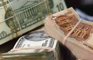 خبير مصرفي: تعويم الجنيه قرارًا حكيمًا لابد منه.. وتثيبت سعر الفائدة كان متوقعا