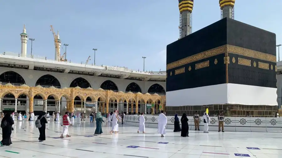 عضو العليا للحج السياحي: الموسم الحالي لشركات السياحة استثنائي