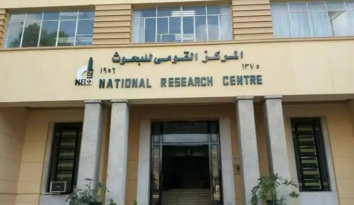 بينهم نادية زخاري وماجي الحلواني.. أسماء الفائزين بجوائز الرواد والمرأة لعام 2022