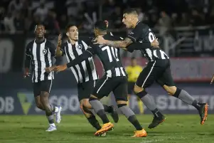 بوتافوجو يسقط بالميراس بهدف في عقر داره ويحلق في صدارة الدوري البرازيلي