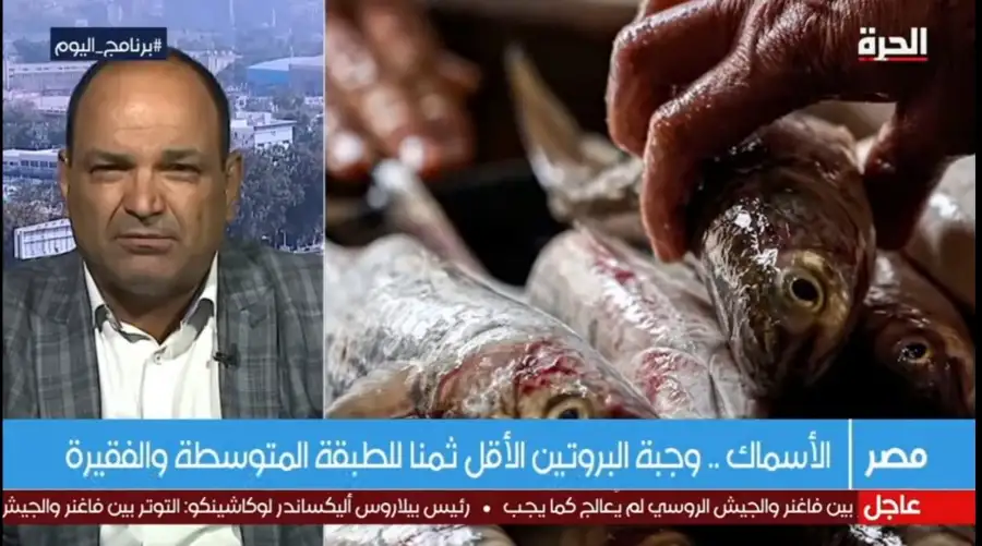 فيديو.. متولي سالم: مصر الأولى إفريقيًا في مجال الاستزراع السمكي