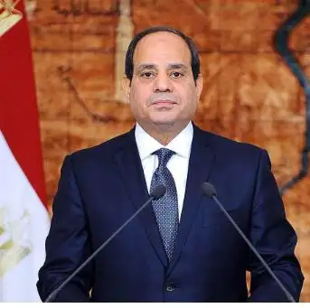 الرئاسة: مصر تؤكد مساندتها لرئيس سيراليون في استمرار العمل على تحقيق تطلعات وآمال شعبه