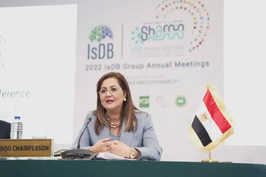 هالة السعيد: نتوقع أن تتم ترسية شركة وطنية ما بين شهرى أكتوبر ونوفمبر المقبلين