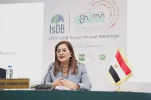 هالة السعيد: نتوقع أن تتم ترسية شركة وطنية ما بين شهرى أكتوبر ونوفمبر المقبلين