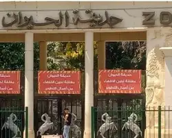 الحكومة تنفي تجريف الأشجار النادرة بحديقة الحيوان بالجيزة تزامنا مع تطويرها