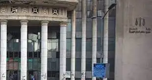 الحبس عامين لمتهم بدهس حفيد الفنانة شريفة فاضل بميدان سفنكس